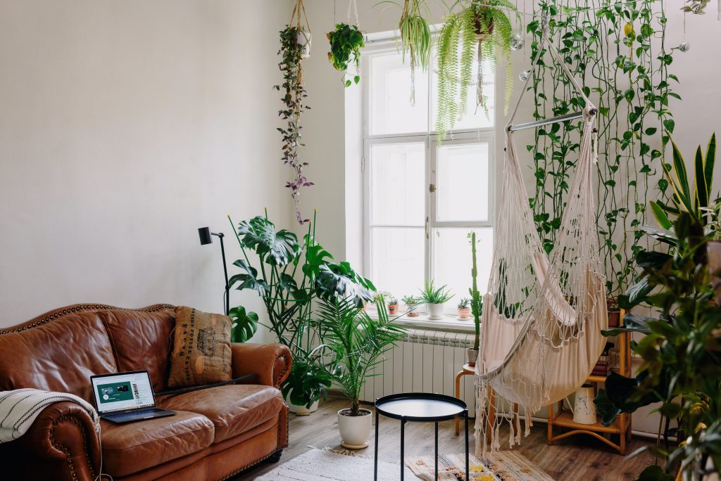 adding nature to your livingroom 